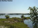 Royal Livingstone 05