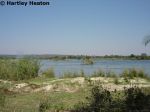 Royal Livingstone 15
