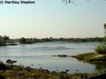 Royal Livingstone 22