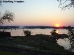 Royal Livingstone 24