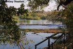 Royal Livingstone 48