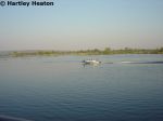 Royal Livingstone 26