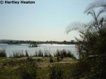 Royal Livingstone 19