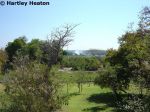 Royal Livingstone 01
