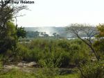 Royal Livingstone 17