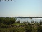 Royal Livingstone 18