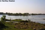 Royal Livingstone 34