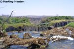 Victoria Falls 18